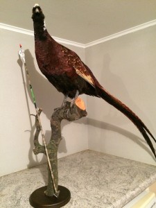 Billede 03-03-15 17.53.52